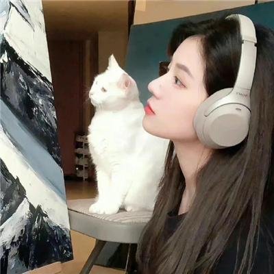 惨痛的战争